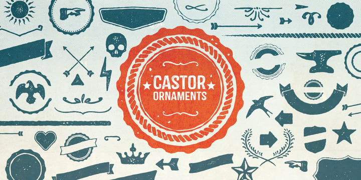 Castor Font Poster 8