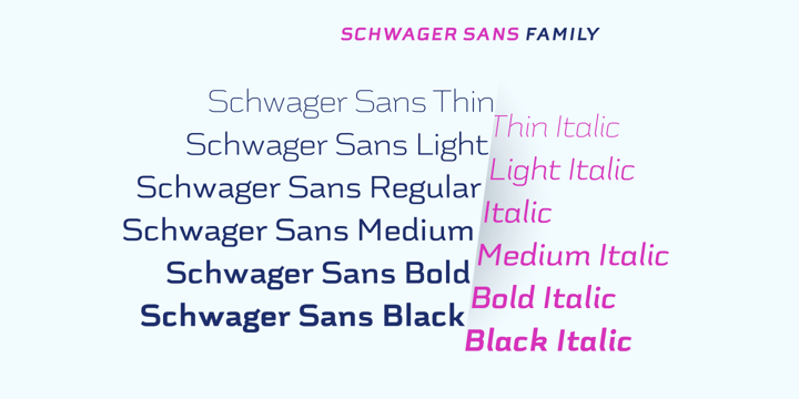 Schwager Sans Font Poster 7
