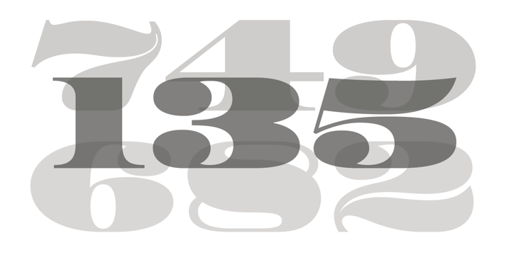 HWT Roman Extended Fatface™