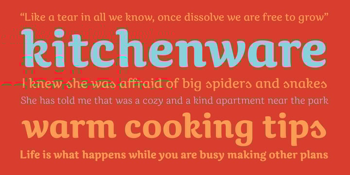Caturrita Font Poster 7