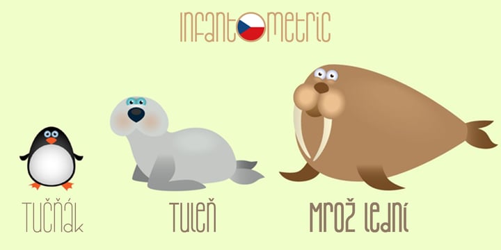 Infantometric Pro Font Poster 8