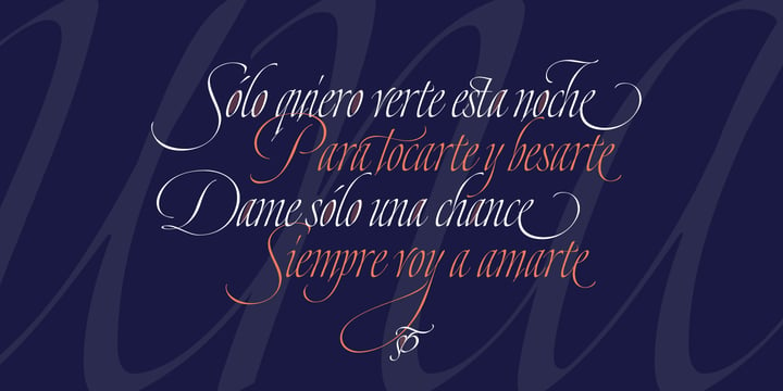 Dream Script Font Poster 13