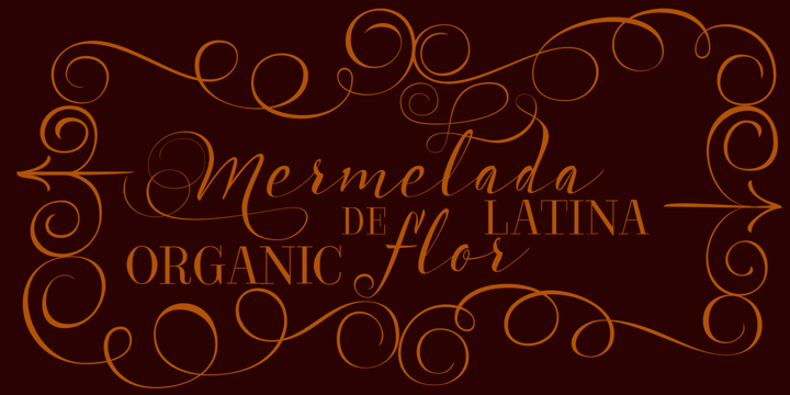 Acustica Font Poster 8