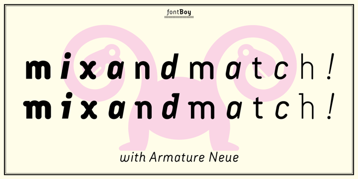 Armature Neue Sans Font Poster 5