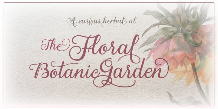 Gardeny Font Poster 7