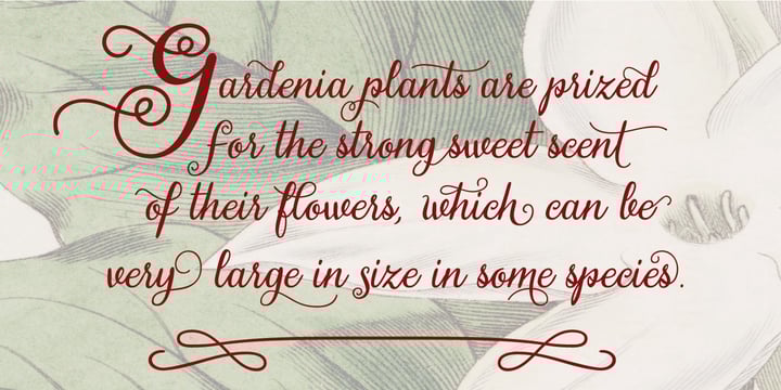 Gardeny Font Poster 10