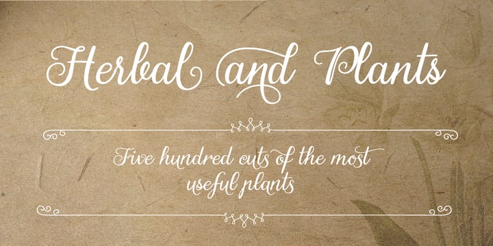 Gardeny Font Poster 4