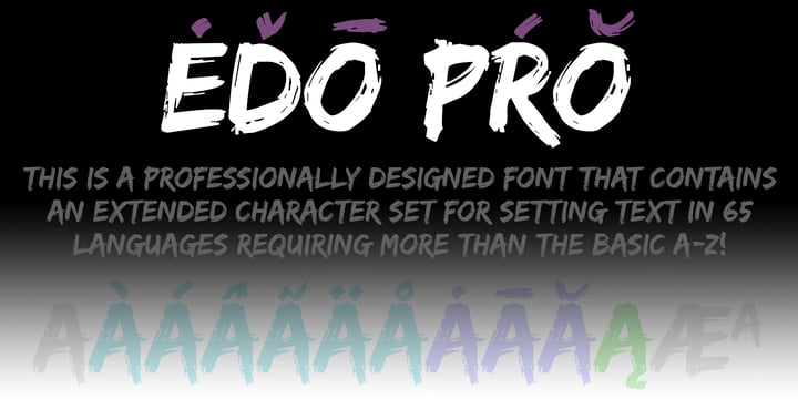 Edo Pro Font Poster 4