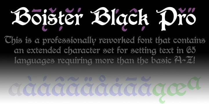 Boister Black Pro Font Poster 2