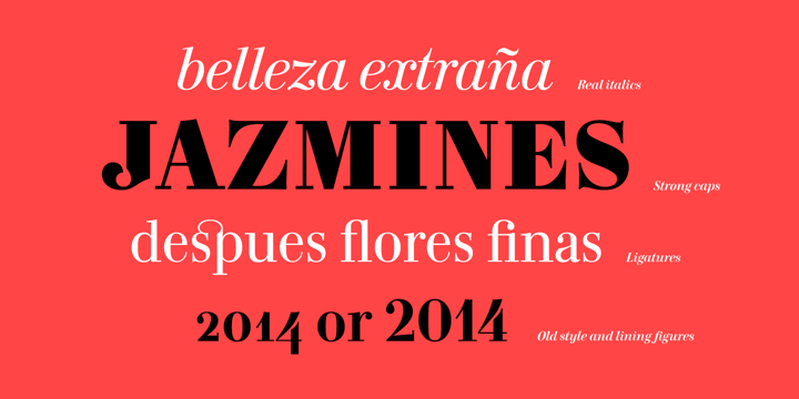 Carmen Font Poster 4