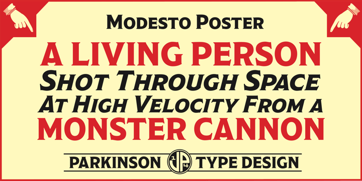 Modesto Font Poster 2