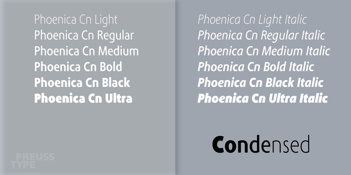 Phoenica Std Font Poster 5