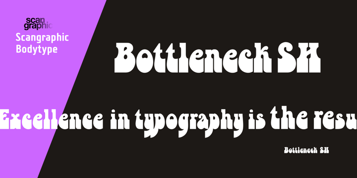 Bottleneck SH Font Poster 1
