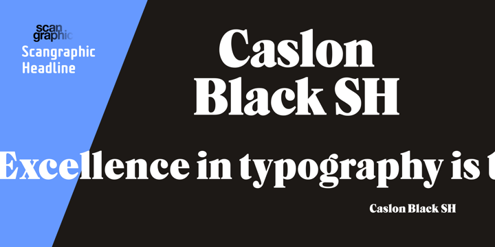 Caslon Black SH Font Poster 1