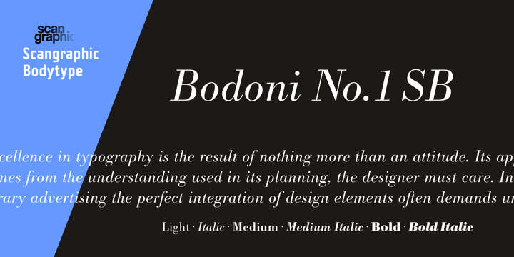 Bodoni No. 1 SH Font Poster 3