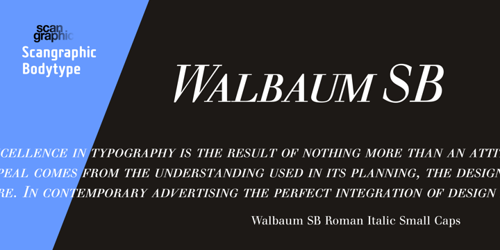 Walbaum SB Font Poster 1
