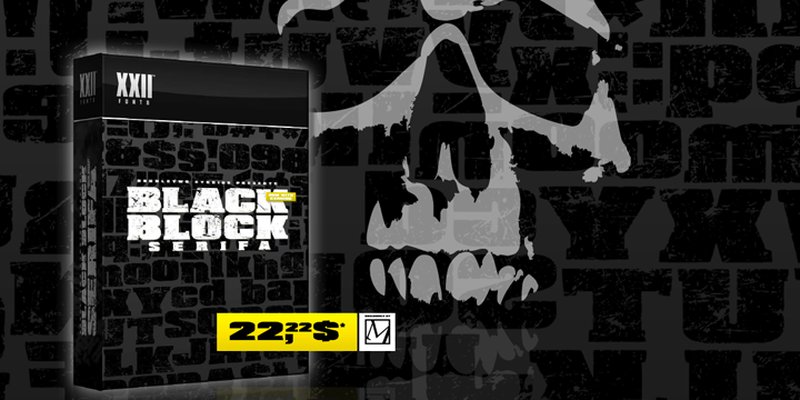 XXII BLACK-BLOCK-SERIFA Font Poster 2