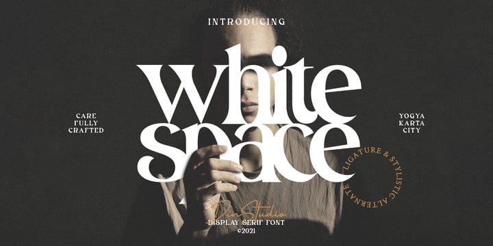 White Space Font Poster 1