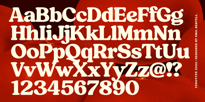 Tomato Ketchup Font Poster 8
