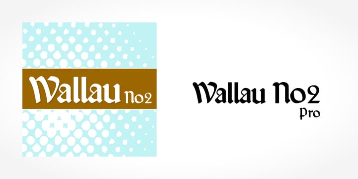 Wallau No2 Pro Font Poster 1