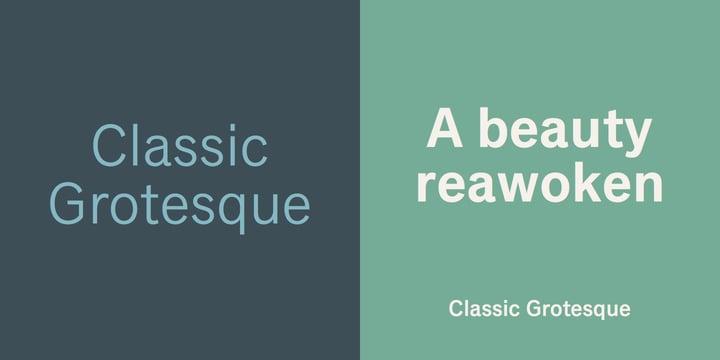 Classic Grotesque Font Poster 4