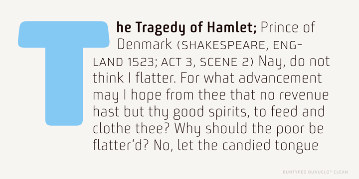 Bunuelo Clean Pro™