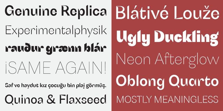 Schizotype Grotesk™
