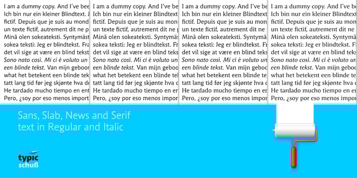 Schuss Sans PCG Font Poster 4