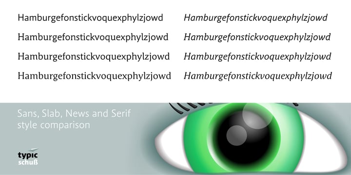 Schuss Serif Pro Font Poster 14