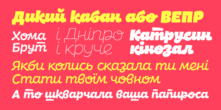 DR Agu Script Font Poster 7