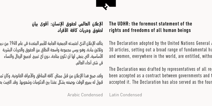 FF DIN Arabic Font Poster 4