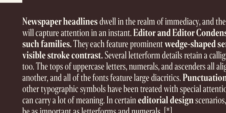 Editor Condensed Font Poster 10