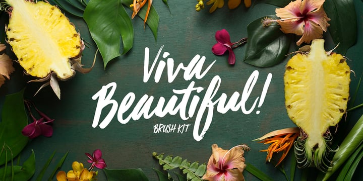 Viva Beautiful Font Poster 1