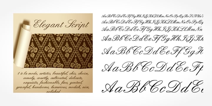 Elegant Script Pro Font Poster 5