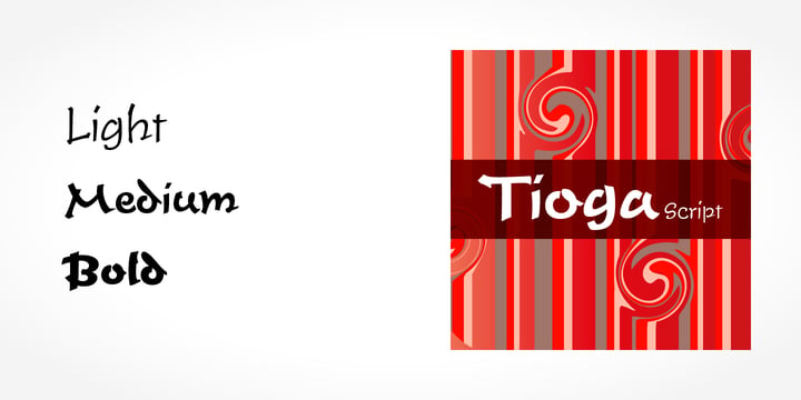 Tioga Script Pro Font Poster 2
