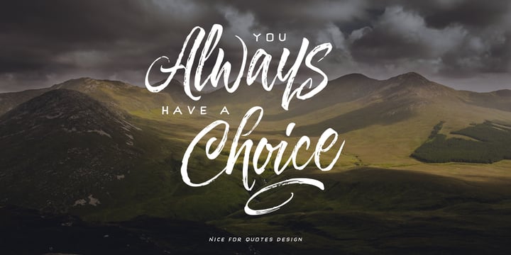 Hayne Script Font Poster 16