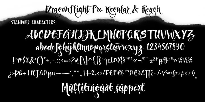 Dragonflight Pro Font Poster 5
