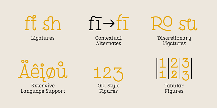 Pleuf Pro Font Poster 6