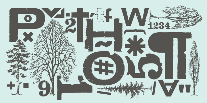 Cozza Font Poster 2