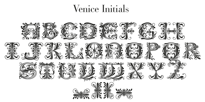 Venice Initials Font Poster 1