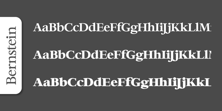 Bernstein Serial Font Poster 4