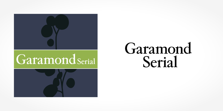 Garamond Serial Font Poster 1
