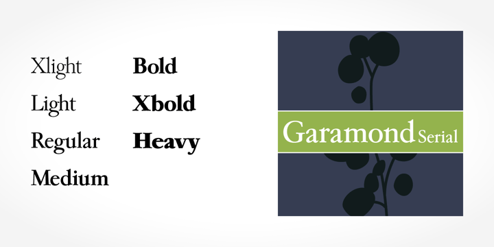 Garamond Serial Font Poster 2