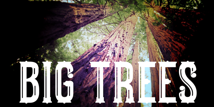 Big Trees Font Poster 1