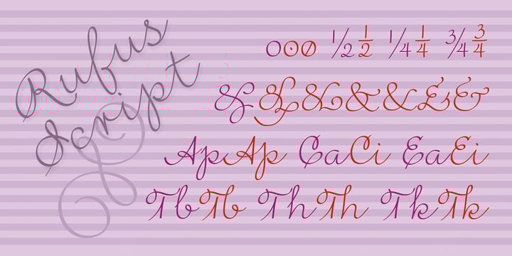 Rufus Script Font Poster 4