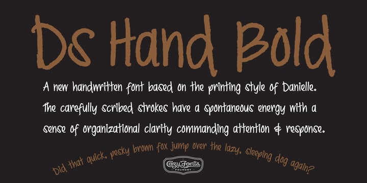 Ds Hand Font Poster 12
