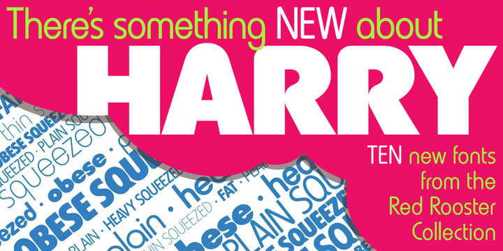 Harry Pro Font Poster 11