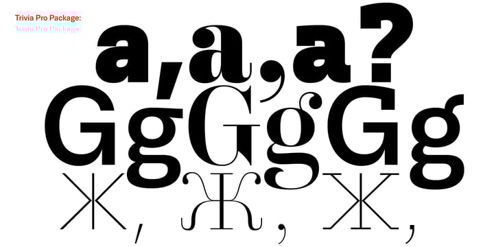 Trivia Serif Font Poster 8