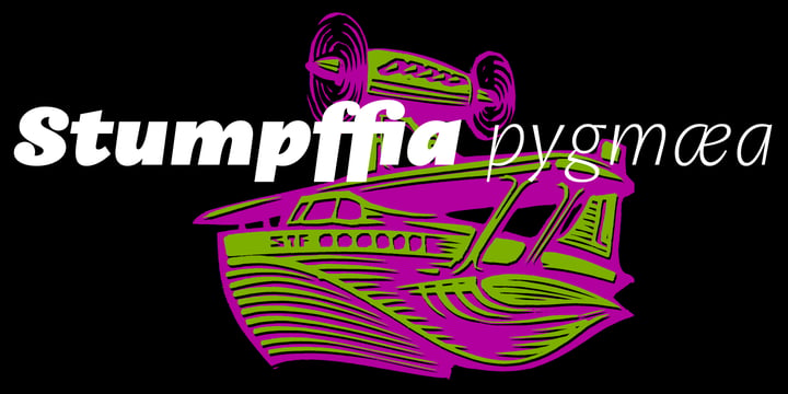 Amphibia Font Poster 8