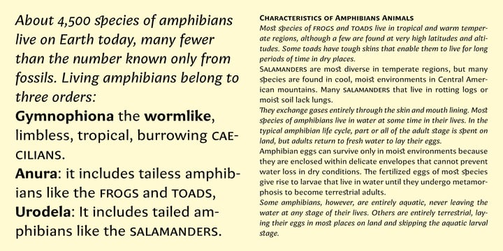 Amphibia Font Poster 9